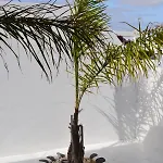 San Blas Chillout - Princesa Yaiza 7 By Dolores Сasa de vacaciones *